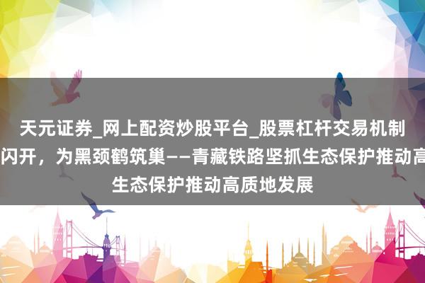 天元证券_网上配资炒股平台_股票杠杆交易机制 为藏羚羊闪开，为黑颈鹤筑巢——青藏铁路坚抓生态保护推动高质地发展