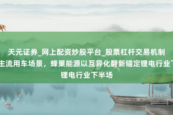 天元证券_网上配资炒股平台_股票杠杆交易机制 袒护主流用车场景，蜂巢能源以互异化翻新锚定锂电行业下半场