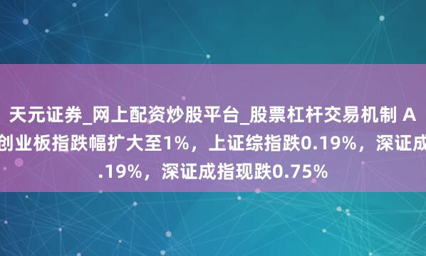 天元证券_网上配资炒股平台_股票杠杆交易机制 A股指数走弱，创业板指跌幅扩大至1%，上证综指跌0.19%，深证成指现跌0.75%